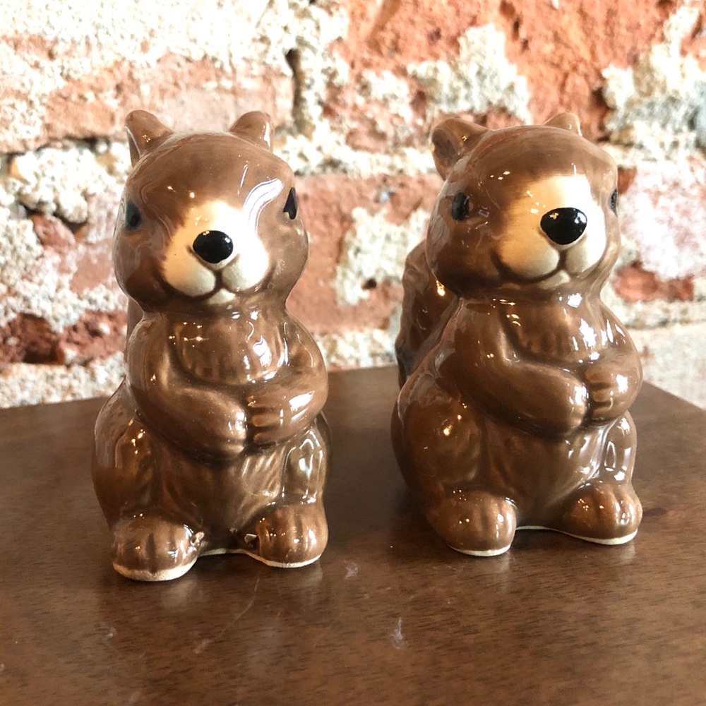 Squirrel Salt and Pepper Shaker Set